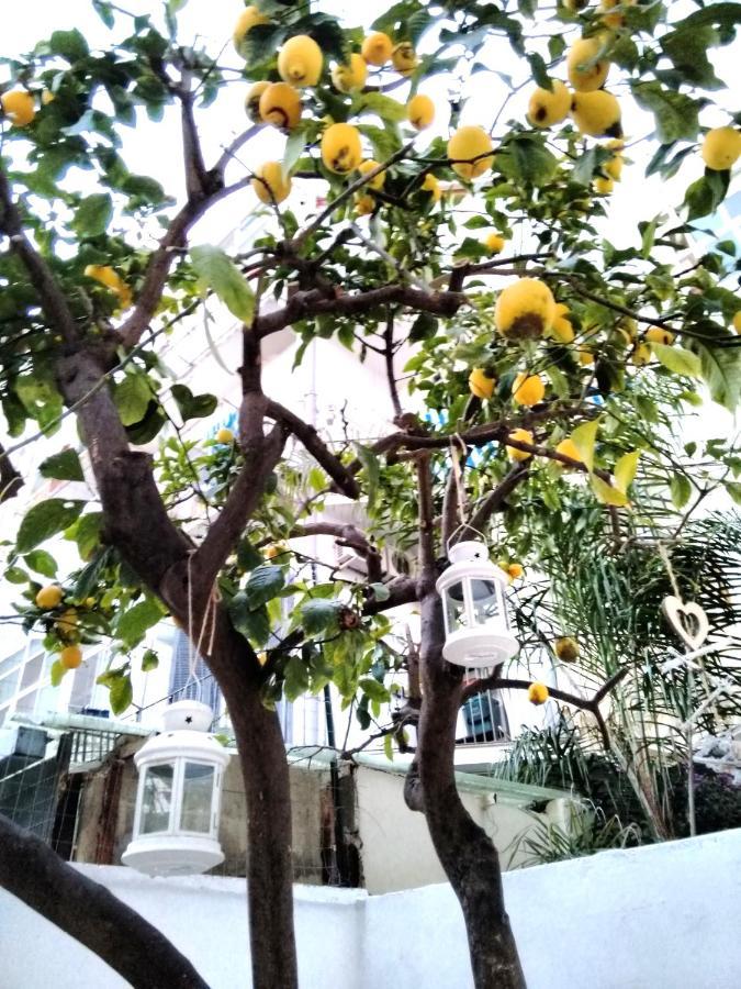Willkommen In Einem Private Garden Bari Esterno foto