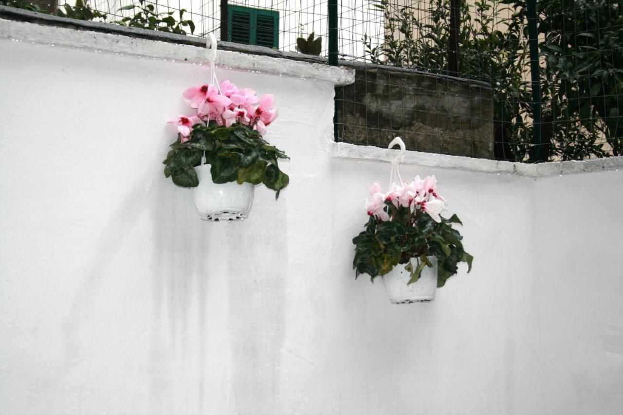 Willkommen In Einem Private Garden Bari Esterno foto